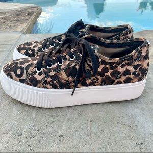 Steve Madden Emmi  Platform Sneakers leopard size 9M